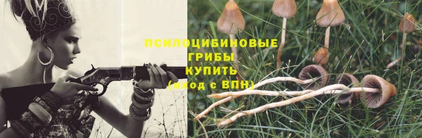 марихуана Абаза