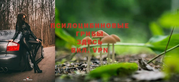 марихуана Абаза