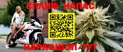 мдпв Малоярославец