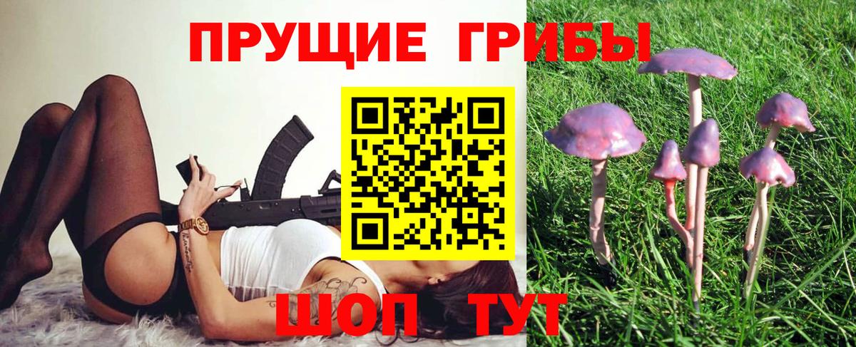 Советский  Галлюциногенные грибы мицелий  Псилоцибиновые грибы ЛСД  Вход с VPN 