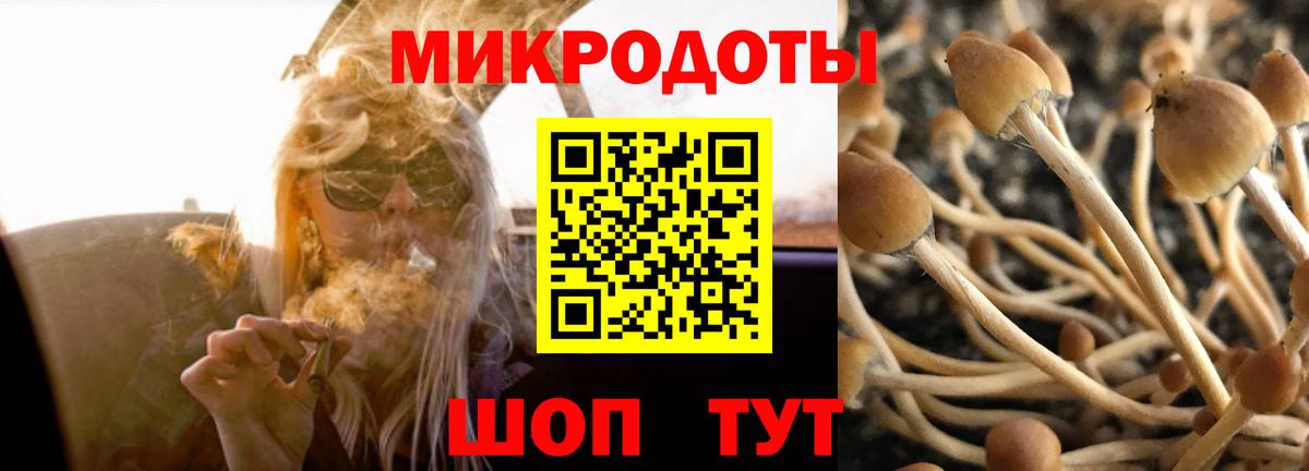 Псилоцибиновые грибы прущие грибы Советский